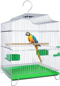 Parrot Cage - Parrots for sale.