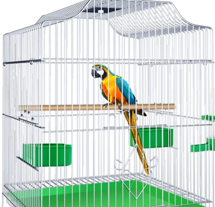 The Ultimate Guide to Parrot Cage Setup: Creating the Perfect Home for Your Feathered Friend