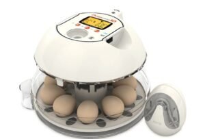 Pro-10 Plus Digital Incubator