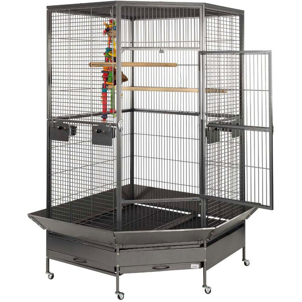 Raleigh Large Solid Top Corner Parrot Cage Raleigh Large Solid Top Corner Parrot Cage