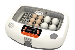 Rcom Max 20 Incubator